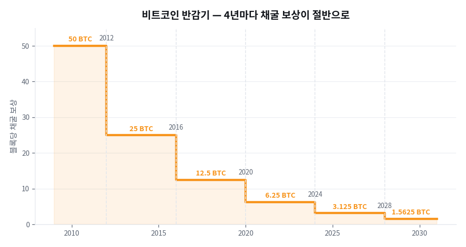 반감기란 무엇인가