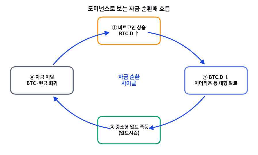 세 도미넌스를 함께 읽는 조합 해석