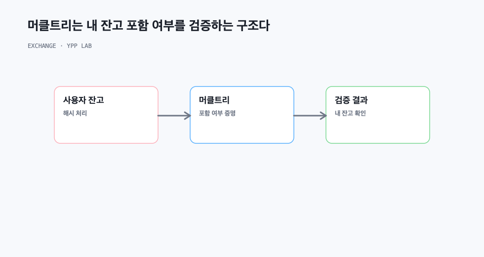 머클트리는 내 잔고 포함 여부를 검증하는 구조다