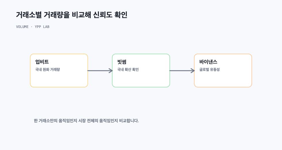 거래소별 거래량을 비교해 신뢰도 확인
